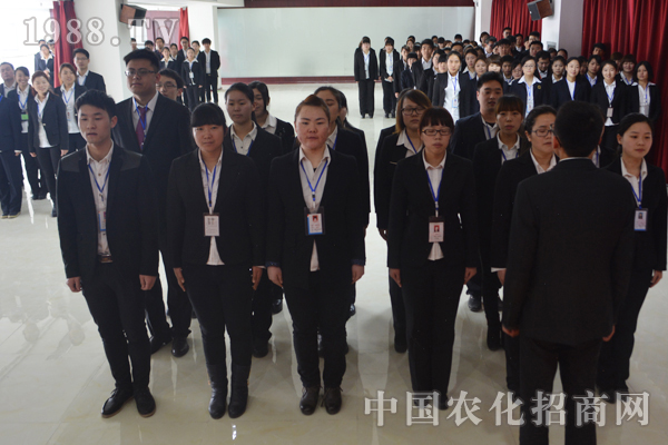 團(tuán)隊:個人求發(fā)展,團(tuán)隊求未來