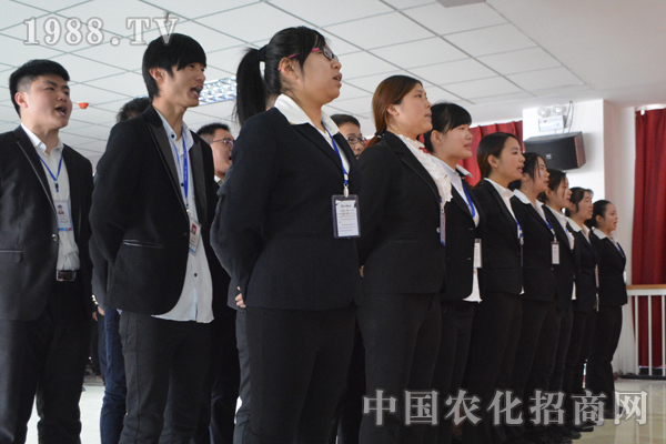 因為我們是一個團(tuán)隊